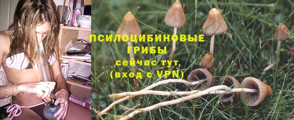 spice Новозыбков