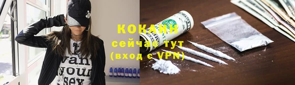 spice Новозыбков