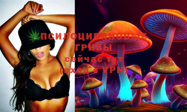 mdma Новодвинск