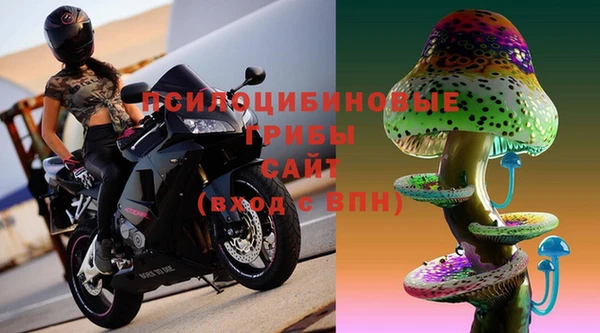 spice Новозыбков