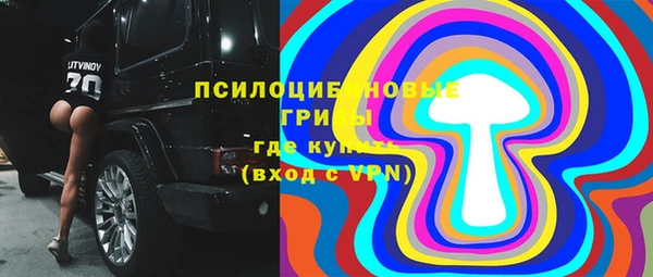 прущие крисы Зеленокумск