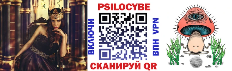 Псилоцибиновые грибы Psilocybe Покров